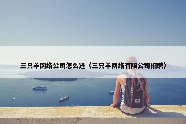 三只羊网络公司怎么进（三只羊网络有限公司招聘）