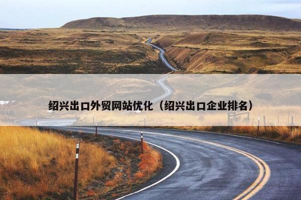 绍兴出口外贸网站优化（绍兴出口企业排名）