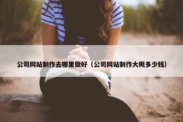 公司网站制作去哪里做好（公司网站制作大概多少钱）
