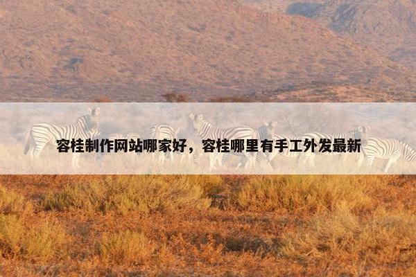 容桂制作网站哪家好，容桂哪里有手工外发最新