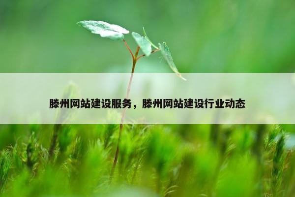 滕州网站建设服务，滕州网站建设行业动态