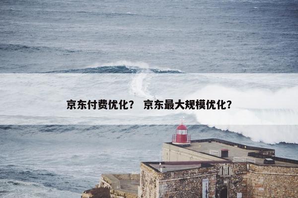 京东付费优化？ 京东最大规模优化？