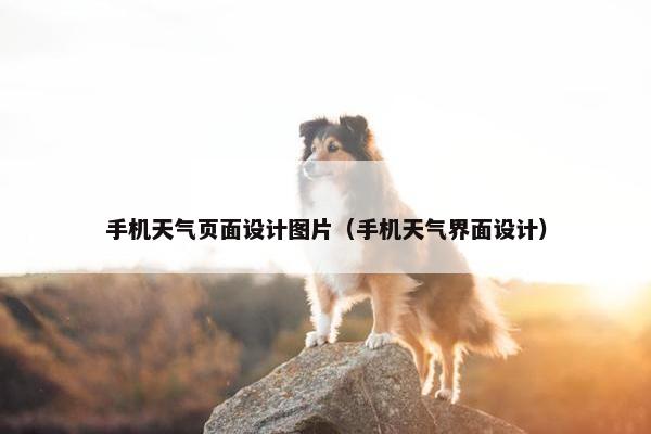 手机天气页面设计图片（手机天气界面设计）