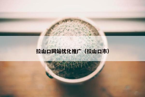 拉山口网站优化推广（拉山口市）