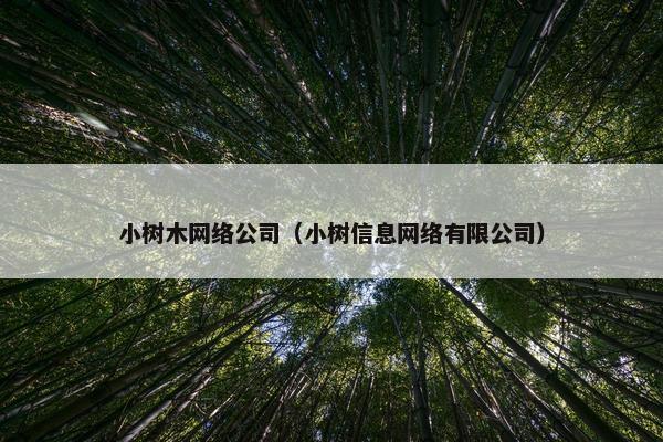 小树木网络公司（小树信息网络有限公司）