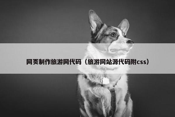 网页制作旅游网代码（旅游网站源代码附css）