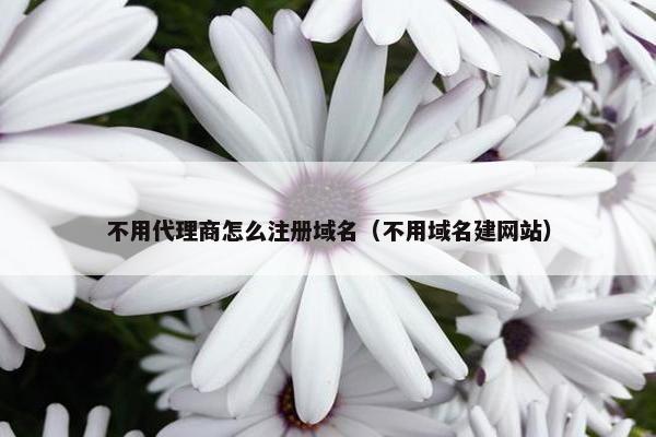 不用代理商怎么注册域名（不用域名建网站）