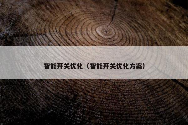 智能开关优化（智能开关优化方案）