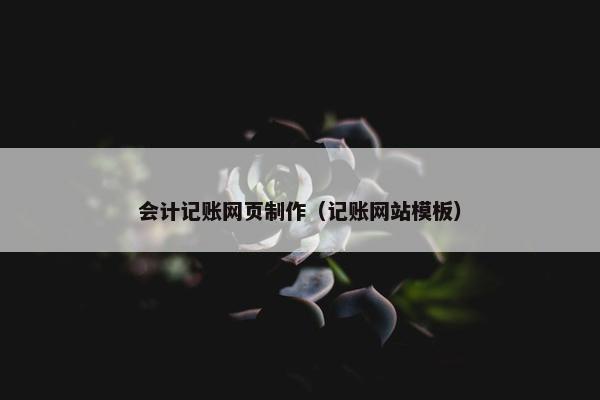 会计记账网页制作（记账网站模板）