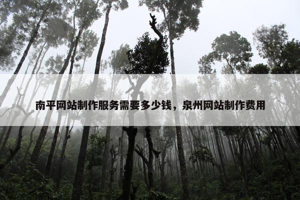 南平网站制作服务需要多少钱，泉州网站制作费用