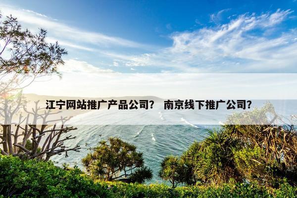 江宁网站推广产品公司？ 南京线下推广公司？