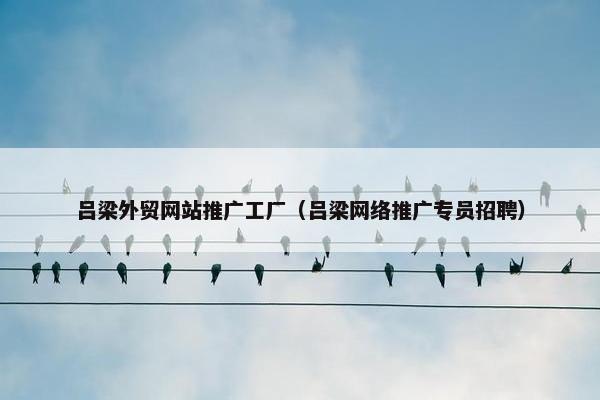 吕梁外贸网站推广工厂（吕梁网络推广专员招聘）