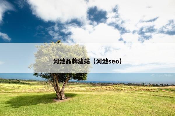 河池品牌建站（河池seo）
