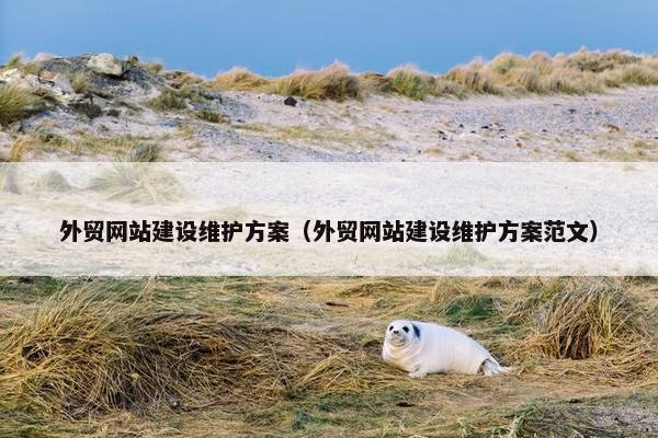 外贸网站建设维护方案（外贸网站建设维护方案范文）