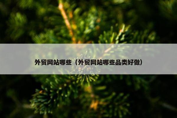 外贸网站哪些（外贸网站哪些品类好做）