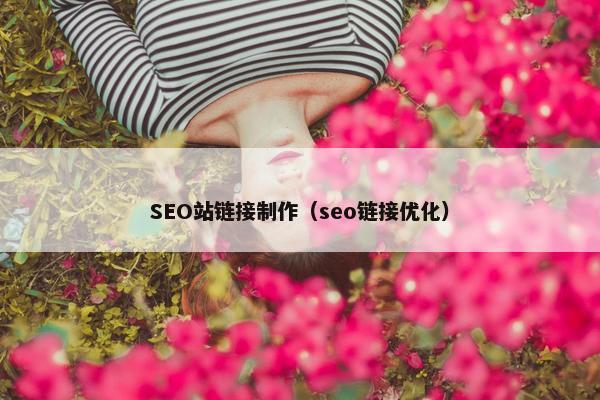 SEO站链接制作（seo链接优化）