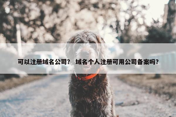 可以注册域名公司？ 域名个人注册可用公司备案吗？