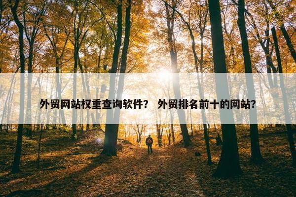 外贸网站权重查询软件？ 外贸排名前十的网站？