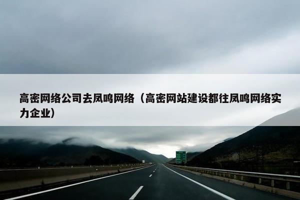 高密网络公司去凤鸣网络（高密网站建设都往凤鸣网络实力企业）