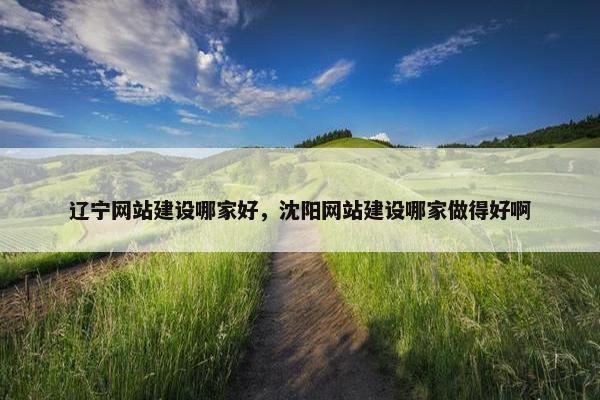 辽宁网站建设哪家好，沈阳网站建设哪家做得好啊
