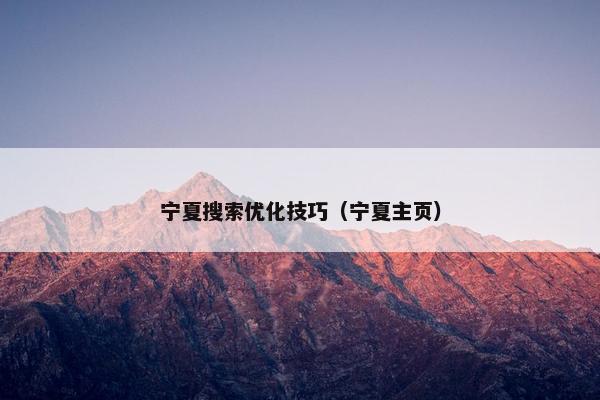 宁夏搜索优化技巧（宁夏主页）