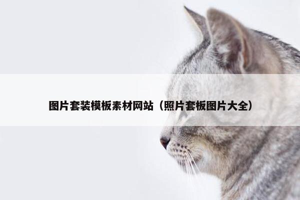 图片套装模板素材网站（照片套板图片大全）