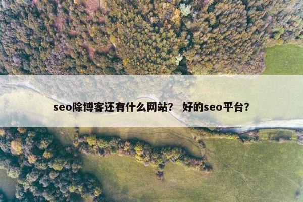 seo除博客还有什么网站？ 好的seo平台？