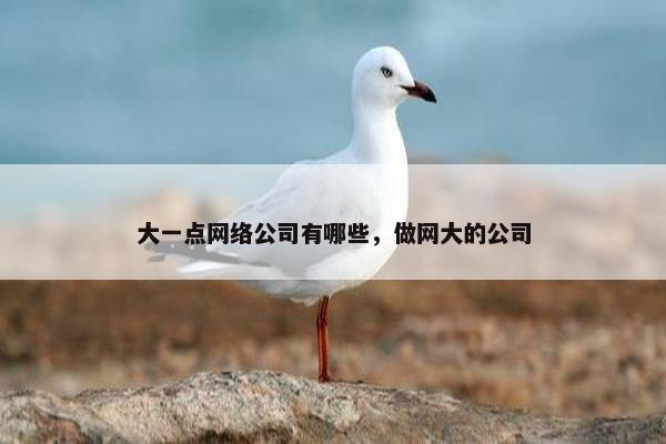 大一点网络公司有哪些，做网大的公司