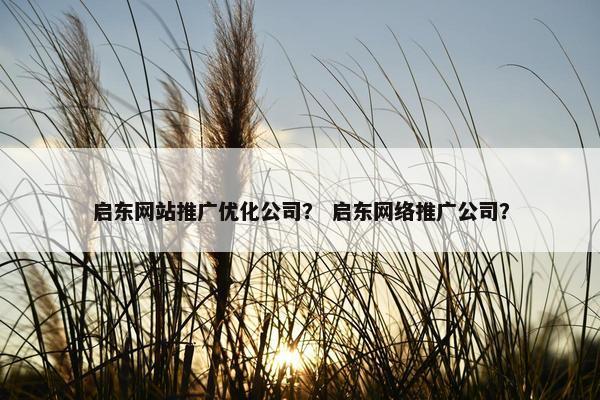 启东网站推广优化公司？ 启东网络推广公司？