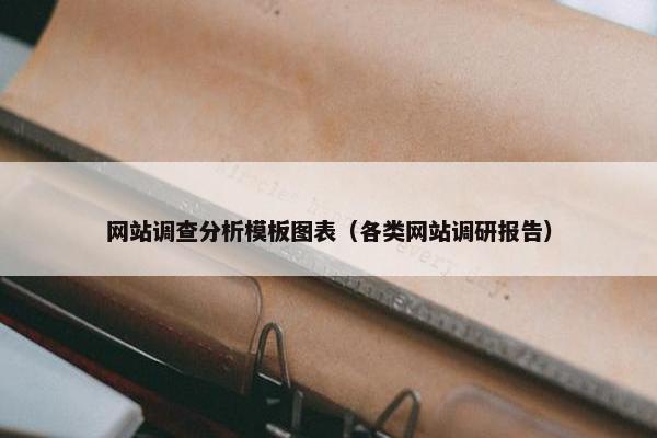网站调查分析模板图表（各类网站调研报告）