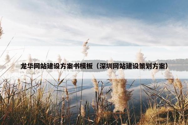 龙华网站建设方案书模板（深圳网站建设策划方案）