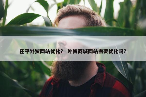茌平外贸网站优化？ 外贸商城网站需要优化吗？