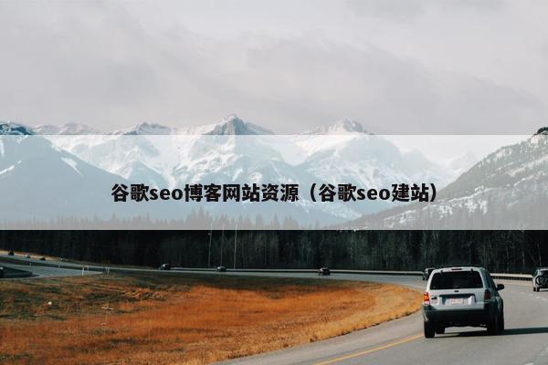 谷歌seo博客网站资源（谷歌seo建站）