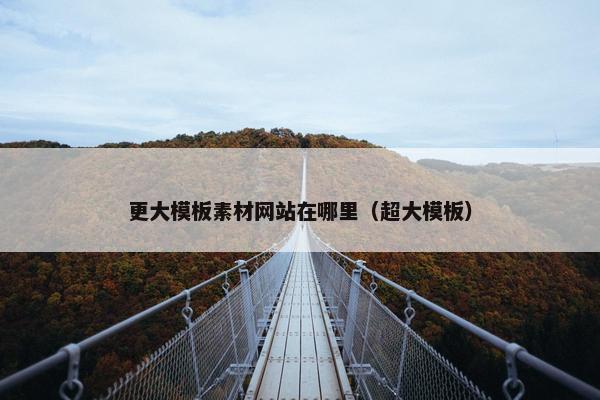 更大模板素材网站在哪里（超大模板）