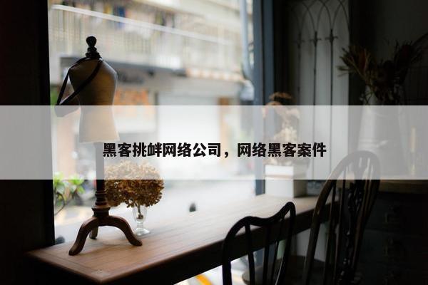 黑客挑衅网络公司，网络黑客案件