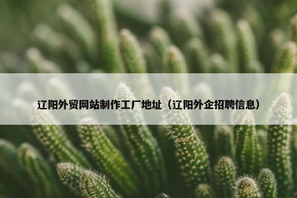辽阳外贸网站制作工厂地址（辽阳外企招聘信息）