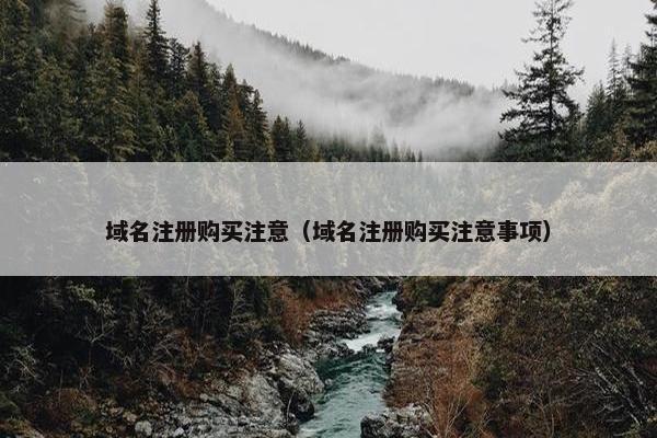 域名注册购买注意（域名注册购买注意事项）