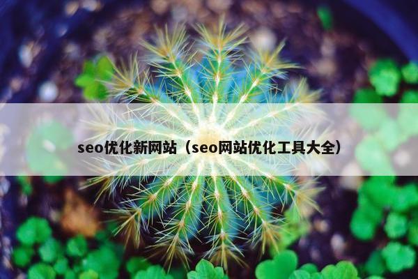 seo优化新网站（seo网站优化工具大全）