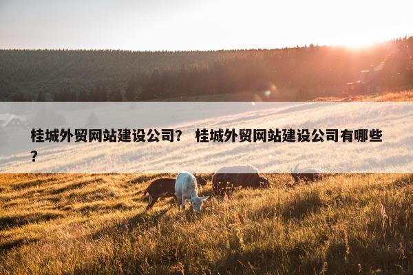 桂城外贸网站建设公司？ 桂城外贸网站建设公司有哪些？