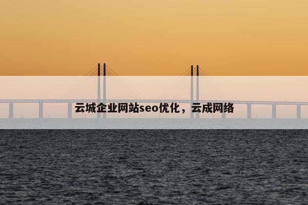 云城企业网站seo优化，云成网络
