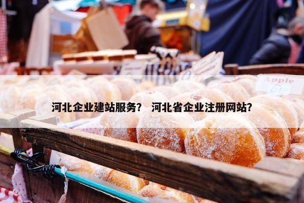 河北企业建站服务？ 河北省企业注册网站？