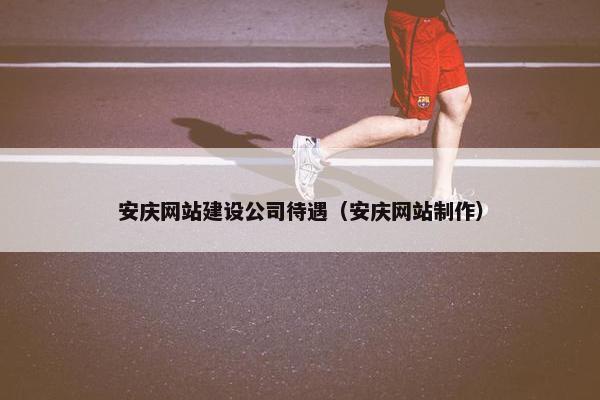 安庆网站建设公司待遇（安庆网站制作）