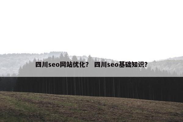 四川seo网站优化？ 四川seo基础知识？