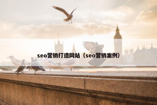 seo营销打造网站（seo营销案例）