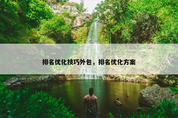 排名优化技巧外包，排名优化方案