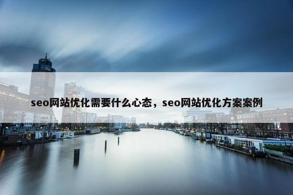 seo网站优化需要什么心态，seo网站优化方案案例