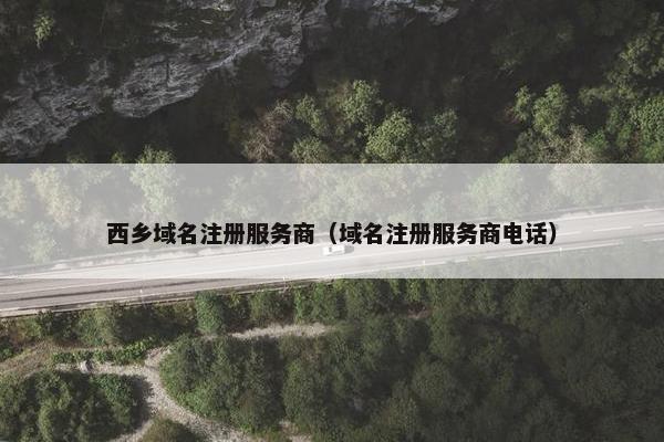 西乡域名注册服务商（域名注册服务商电话）
