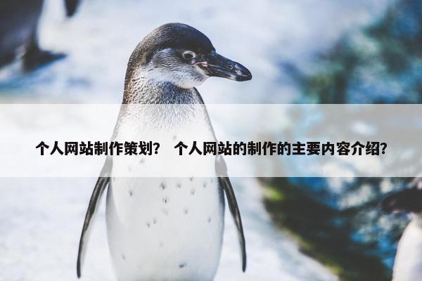 个人网站制作策划？ 个人网站的制作的主要内容介绍？