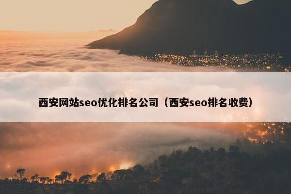 西安网站seo优化排名公司（西安seo排名收费）