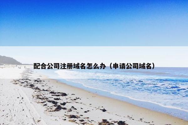 配合公司注册域名怎么办（申请公司域名）